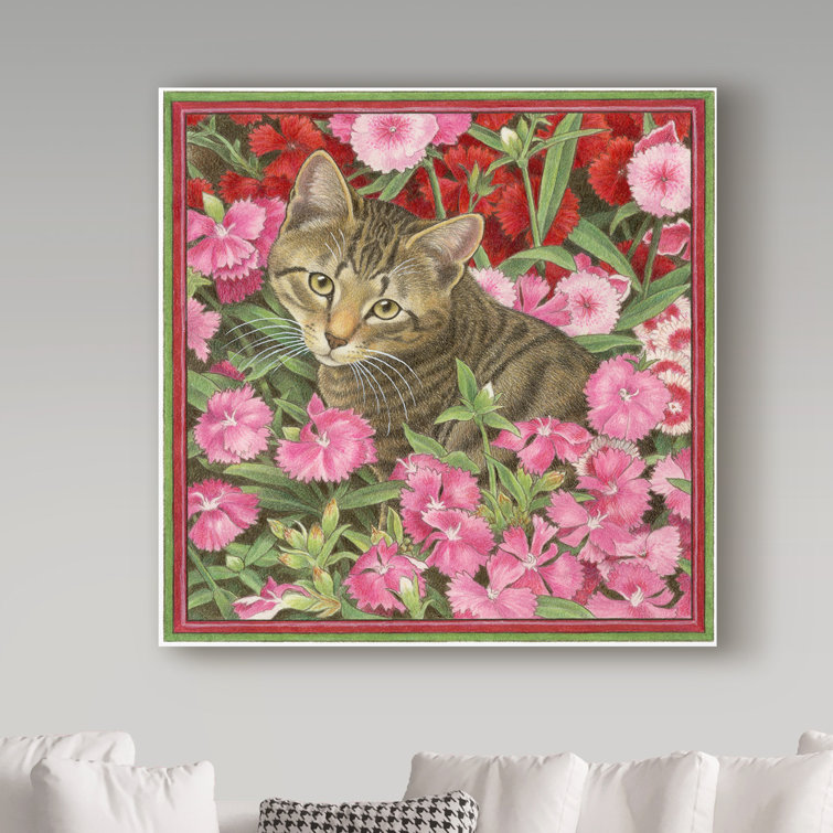 Francien van hot sale westering cats